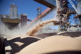 Las exportaciones de harina de soja en Argentina se recuperaron 45% luego de la catástrofe del año pasado