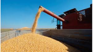 Los embarques argentinos de granos, subproductos y aceites crecieron un 12% en 2021, muy cerca del récord de 2019