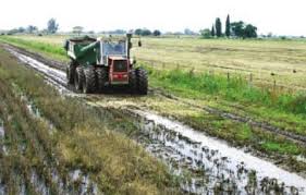Prevén lluvias moderadas a abundantes sobre el extremo nordeste del área agrícola