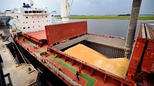 Crecen los embarques agroindustriales de Argentina en el primer semestre del 2022
