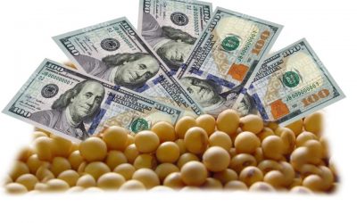 La comercialización de soja se ralentiza, ¿nuevo dólar soja?