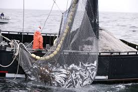El consumo de pescado por habitante cayó 11% respecto de 2019