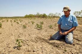 Cambio Climático y tiempos extremos: sequías e impacto en el sector agropecuario argentino (Nota N°1)