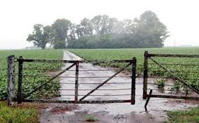 Vasto despliegue de precipitaciones: las lluvias encontraron piso en los cuarenta milímetros
