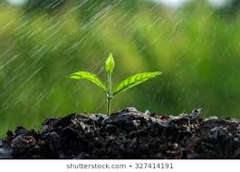 Precipitaciones y vigorosa entrada de vientos del sur