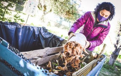 Compostar también es reciclar: Guaymallén invita al ciclo virtual de agroecología y compostaje