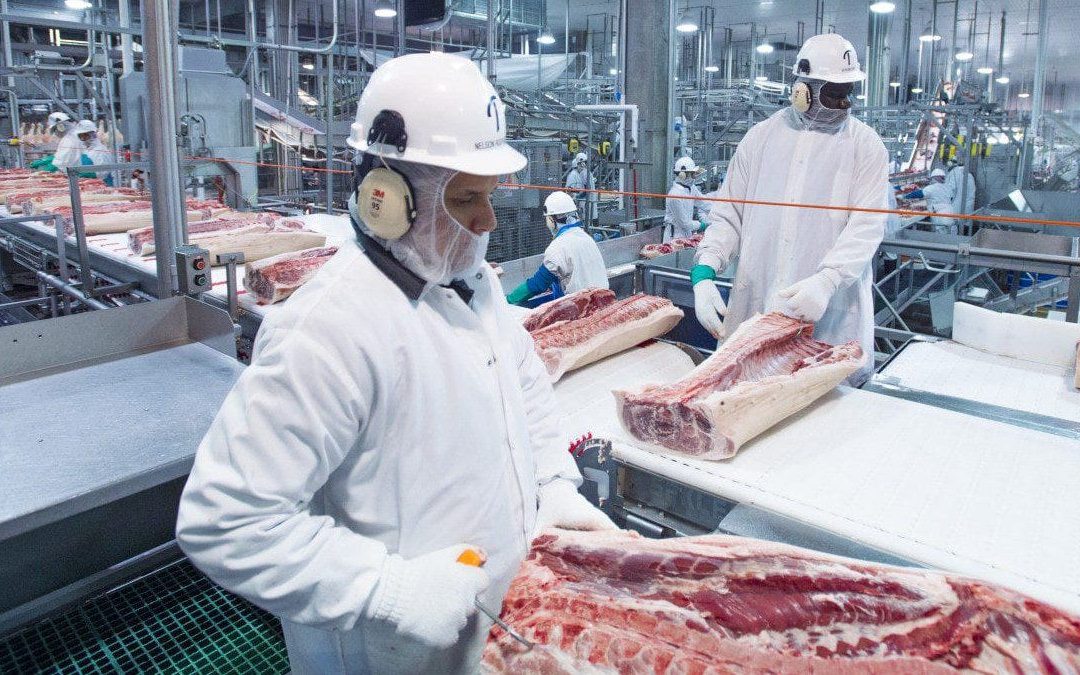 Informe de Exportaciones de carne bovina Abril: China representó el 80,5% de los volúmenes exportados en abril de 2023.