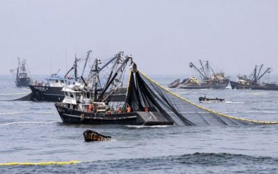 Por qué Argentina termina subsidiando a los pesqueros ilegales que depredan el Océano Atlántico Sur
