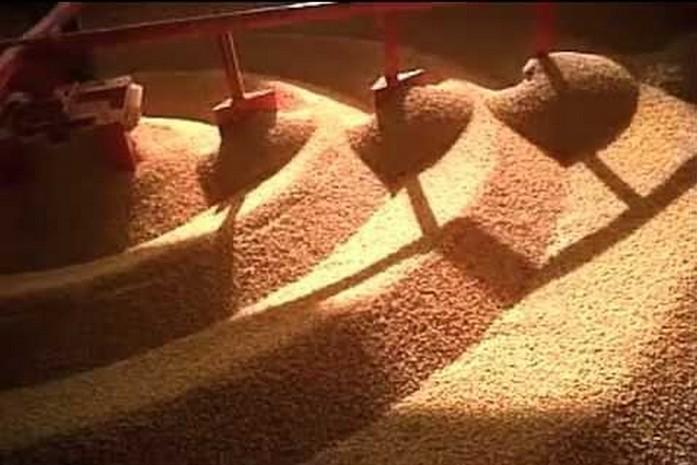Los granos almacenados tratados pueden reducir la huella de carbono