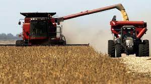 Habrá producción récord de trigo en la región núcleo