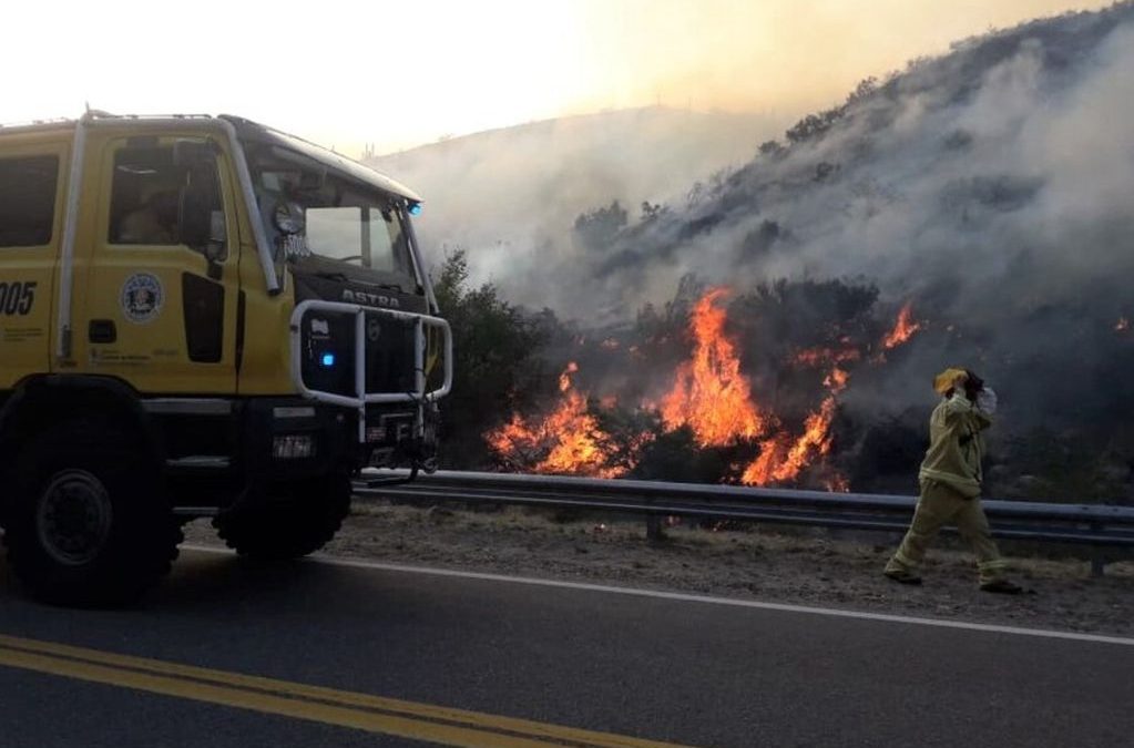 “Lo que el fuego se llevó”: La política escasea en esfuerzos por prevenir la destrucción de ecosistemas