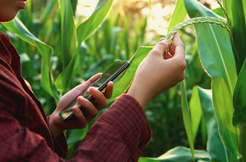 Días claves para tomar decisiones comerciales
