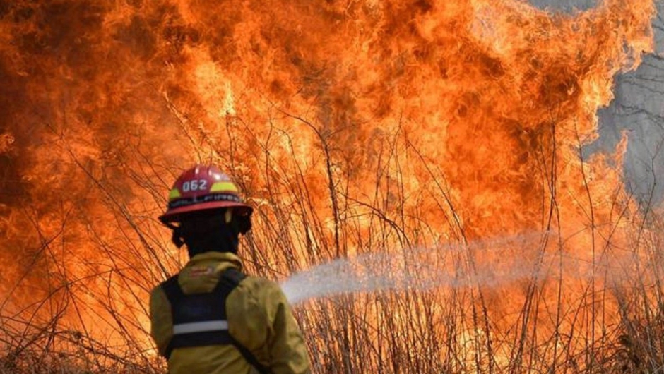 Incendios en el litoral: fuego, cenizas y pérdidas millonarias