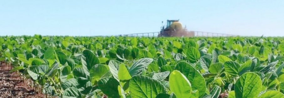 Farmer selling: un factor clave para entender lo que está ocurriendo con los precios en el agro