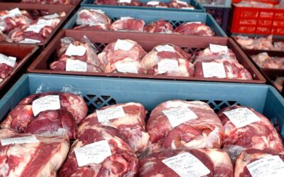 Mercado interno: un consumo de carne vacuna que empieza a reencontrarse con su zona de confort