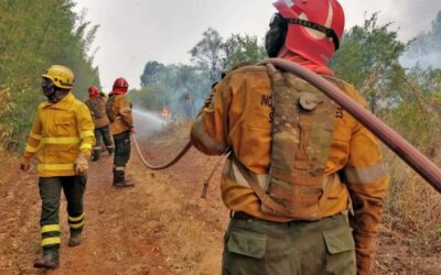 Incendios en Corrientes: otorgan un auxilio financiero de $80.000 a prestadores turísticos