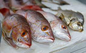 Justo antes de Semana Santa, el Gobierno destrabó obstáculos para la exportación de pescados y langostinos a Brasil