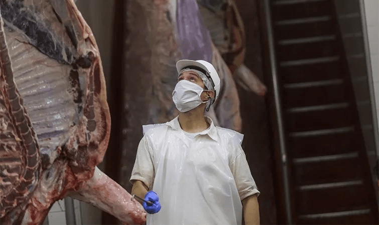 Tendencia: la faena de hembras tiene un leve crecimiento