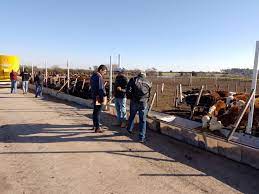 Auditoría de México al sistema de control sanitario de carne bovina de la Argentina