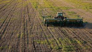 La siembra de trigo 2022-2023 a punto de terminar en el país