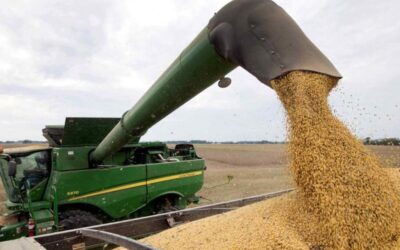 Baja de retenciones: el campo respalda la nueva señal del Gobierno