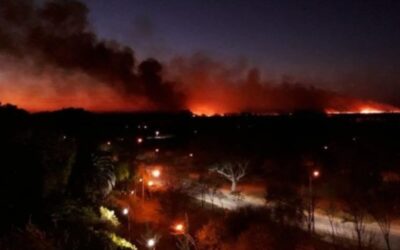 Incendios en Santa Fe y Entre Ríos: se quemaron 15 mil hectáreas