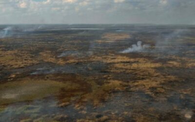 Santa Fe amplió la denuncia por las quemas en el Delta del Paraná