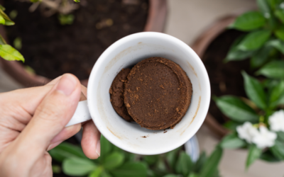 La borra de café se ha puesto de moda entre los amantes del jardín y los huertos