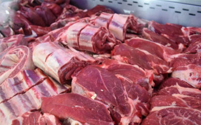 Afirman que es el peor momento de consumo de carne en mucho tiempo