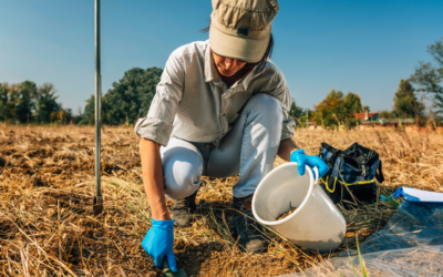 Manejando la fertilidad del suelo