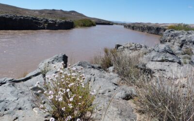 Información para la gestión integral del agua en la cuenca del río Colorado