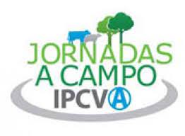 31 de agosto: nueva jornada a campo del IPCVA en Magdalena, Provincia de Buenos Aires