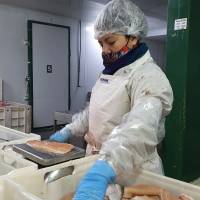 Brasil habilitó el ingreso a su mercado para la Trucha Arcoiris argentina proveniente de la Acuicultura