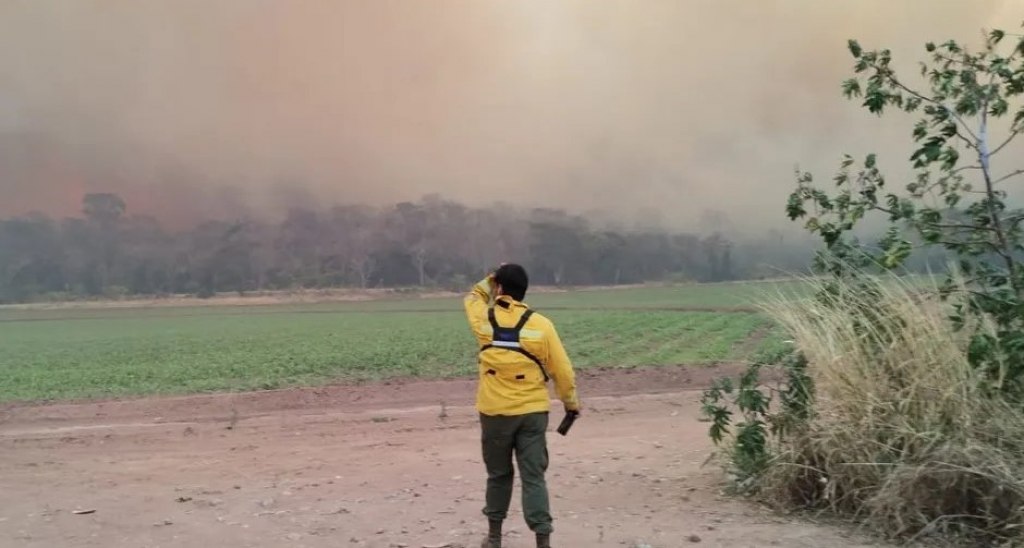 Incendios en Jujuy arrasaron con más de 4.500 hectáreas en las yungas