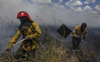 Un total de seis focos de incendios forestales fueron extinguidos en todo el país