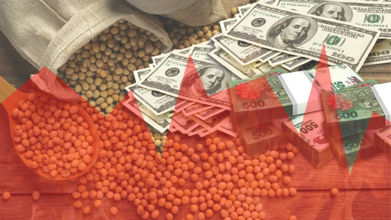 Baja de retenciones: ¿cómo impactará en los productores y la mesa de los argentinos?