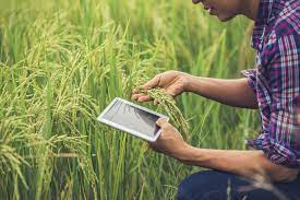 Smart Farming: beneficios de la telemetría aplicada al sector agrícola