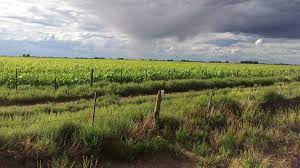 Precipitaciones de variada intensidad sobre el Centro-Este y el Nordeste del área agrícola