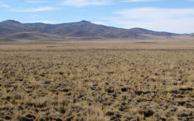 Recuperan mallines degradados en la Patagonia