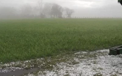 Las lluvias rompieron la tendencia de la sequía pero fueron “dispersas” e “insuficientes”