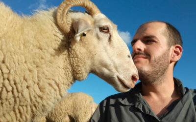 El abogado que quería vivir entre cabras y ovejas: Carlos Larrinaga dejó su vida en Argentina para trabajar con pequeños rumiantes lecheros en Nueva Zelanda