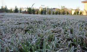 Las heladas, una nueva mala pasada del clima para los productores
