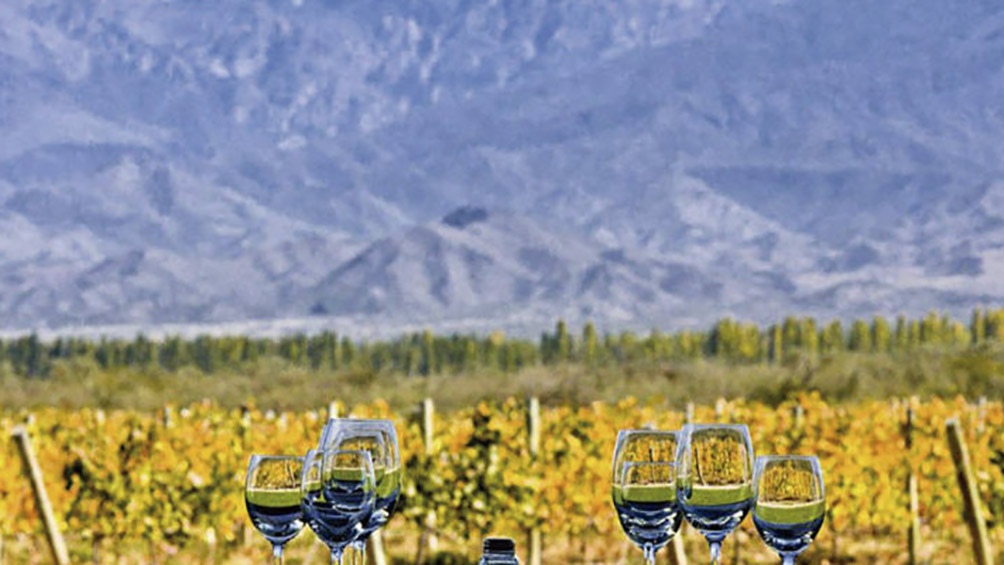 Radiografía del turismo del vino: 320 bodegas en 14 provincias abren sus puertas a los visitantes