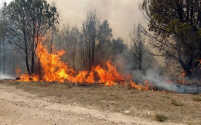 Brigadistas jujeños trabajan en Salta para evitar que un incendio alcance a las yungas