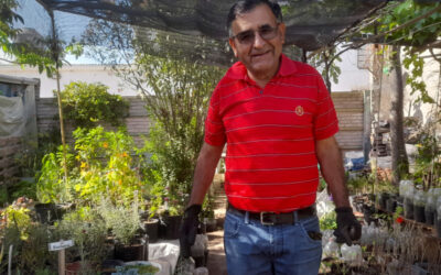 En Pedro Luro, el agrónomo César Quispe tenía un hobby que se transformó en negocio: Montó un vivero especializado en plantas nativas