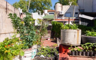 Huerta urbana: ocho claves para producir alimentos todo el año