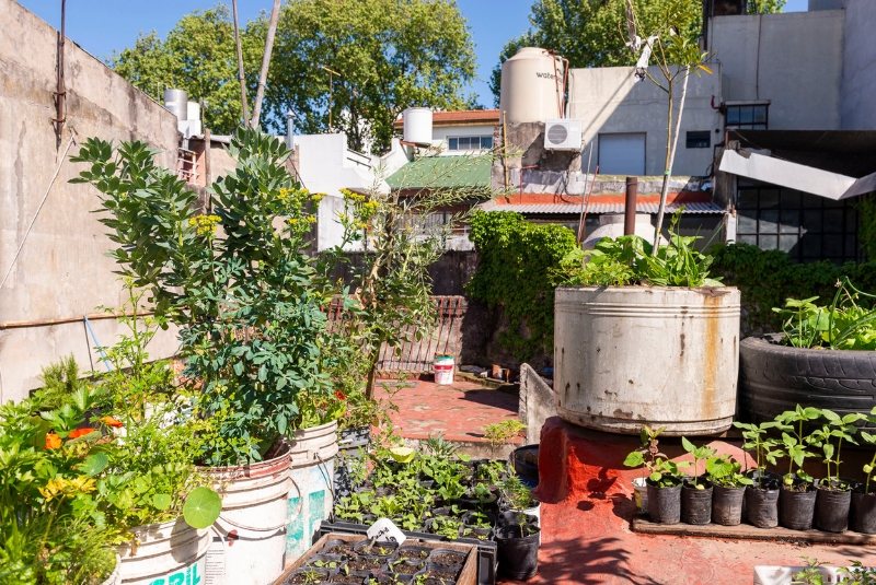 Huerta urbana: ocho claves para producir alimentos todo el año