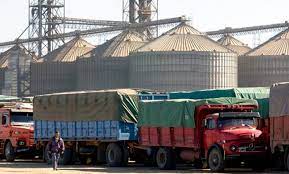 En lo que va de la campaña, el ingreso de camiones con trigo al Gran Rosario cayó un 80%