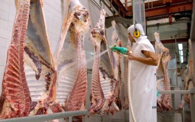 ¿Cuánto vale la carne bovina en la región?