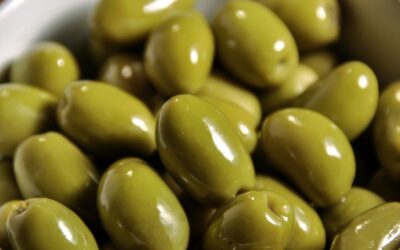 El INTA posee la primera colección de olivos de América
